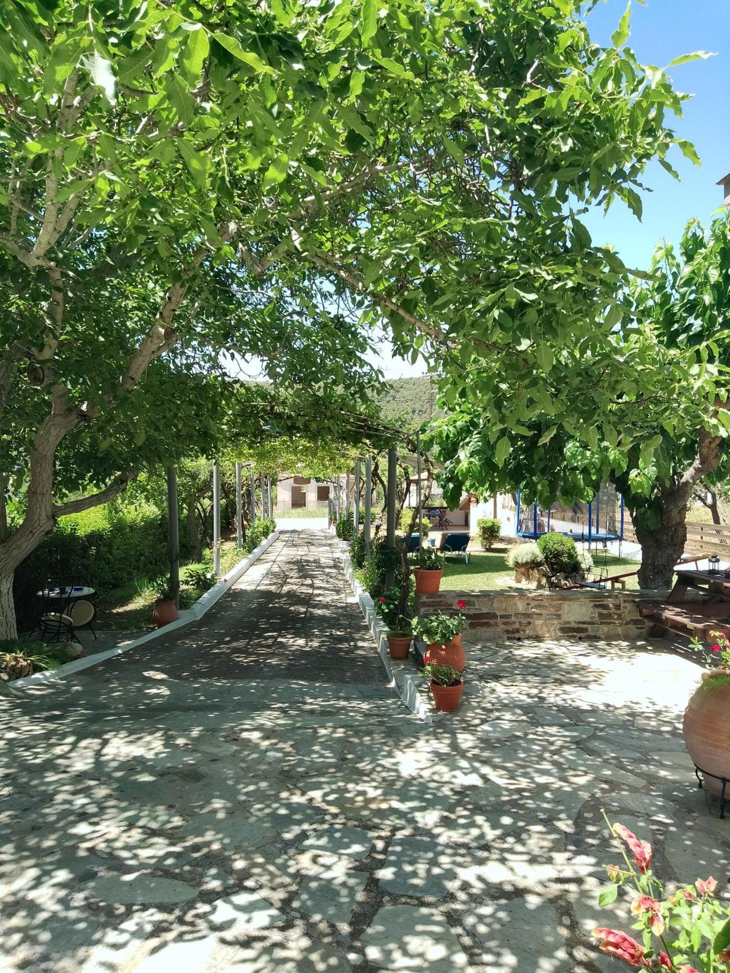 Alexandra Studios ستافيلوس المظهر الخارجي الصورة